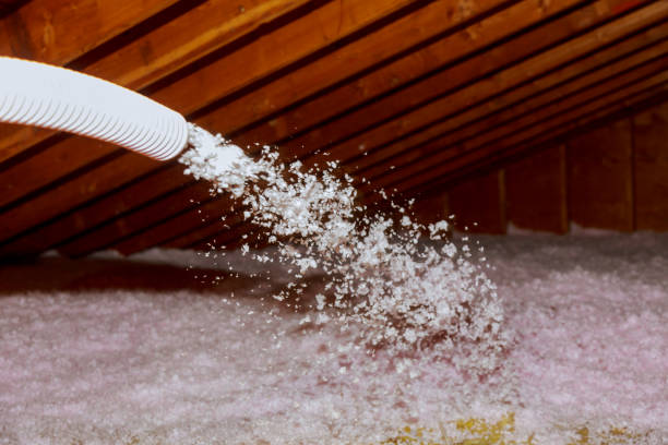 Best Insulation Installation Services in Breckenridge, MI