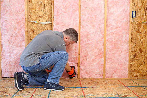 Best Commercial Insulation in Breckenridge, MI