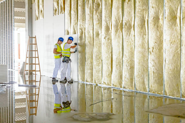 Best Energy Efficiency Solutions in Breckenridge, MI